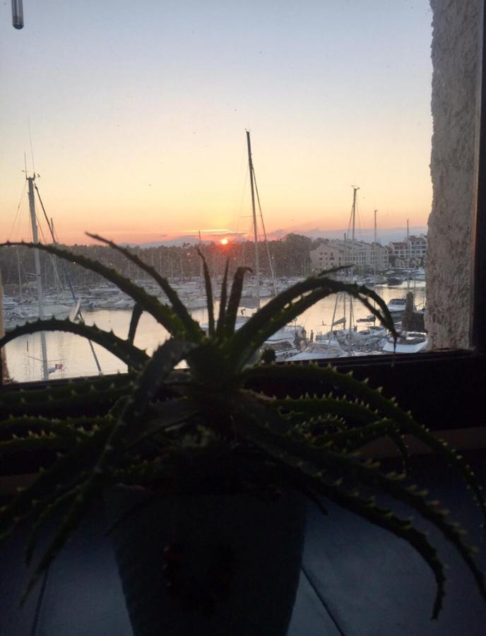 Petit Cocon Magnifique Vue Sur Marina Dans Le Golfe De Saint Tropez Daire Cogolin Dış mekan fotoğraf