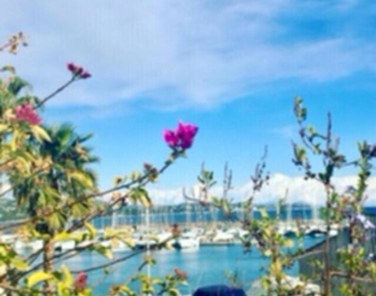 Petit Cocon Magnifique Vue Sur Marina Dans Le Golfe De Saint Tropez Daire Cogolin Dış mekan fotoğraf
