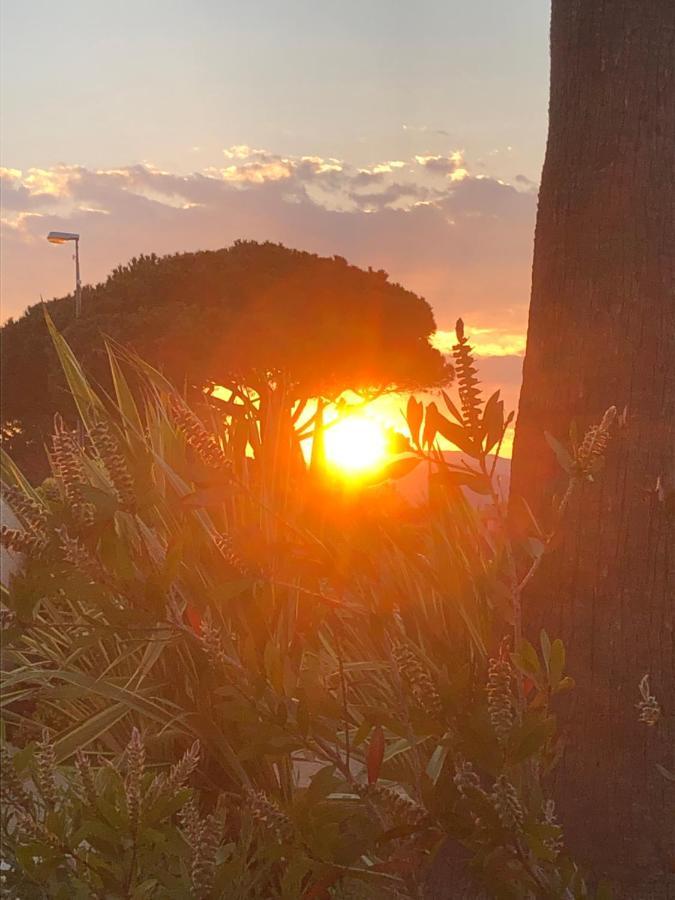 Petit Cocon Magnifique Vue Sur Marina Dans Le Golfe De Saint Tropez Daire Cogolin Dış mekan fotoğraf