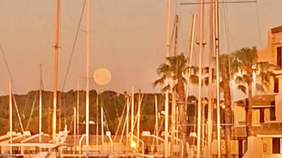 Petit Cocon Magnifique Vue Sur Marina Dans Le Golfe De Saint Tropez Daire Cogolin Dış mekan fotoğraf